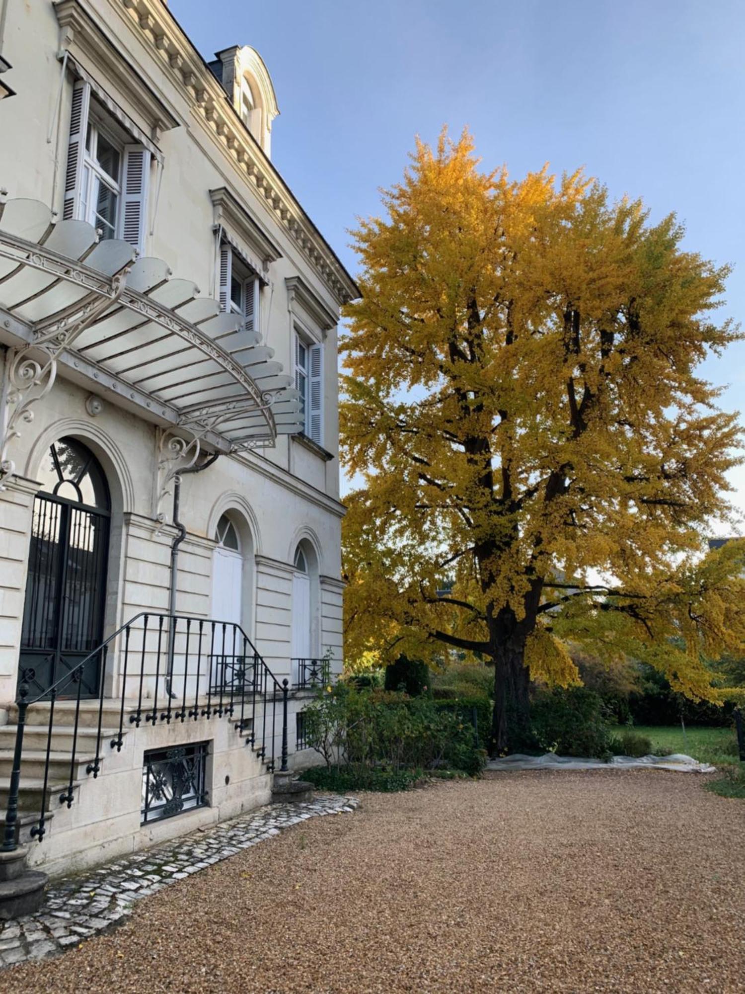 Apartmán A L'Abri Du Ginkgo Tours Exteriér fotografie