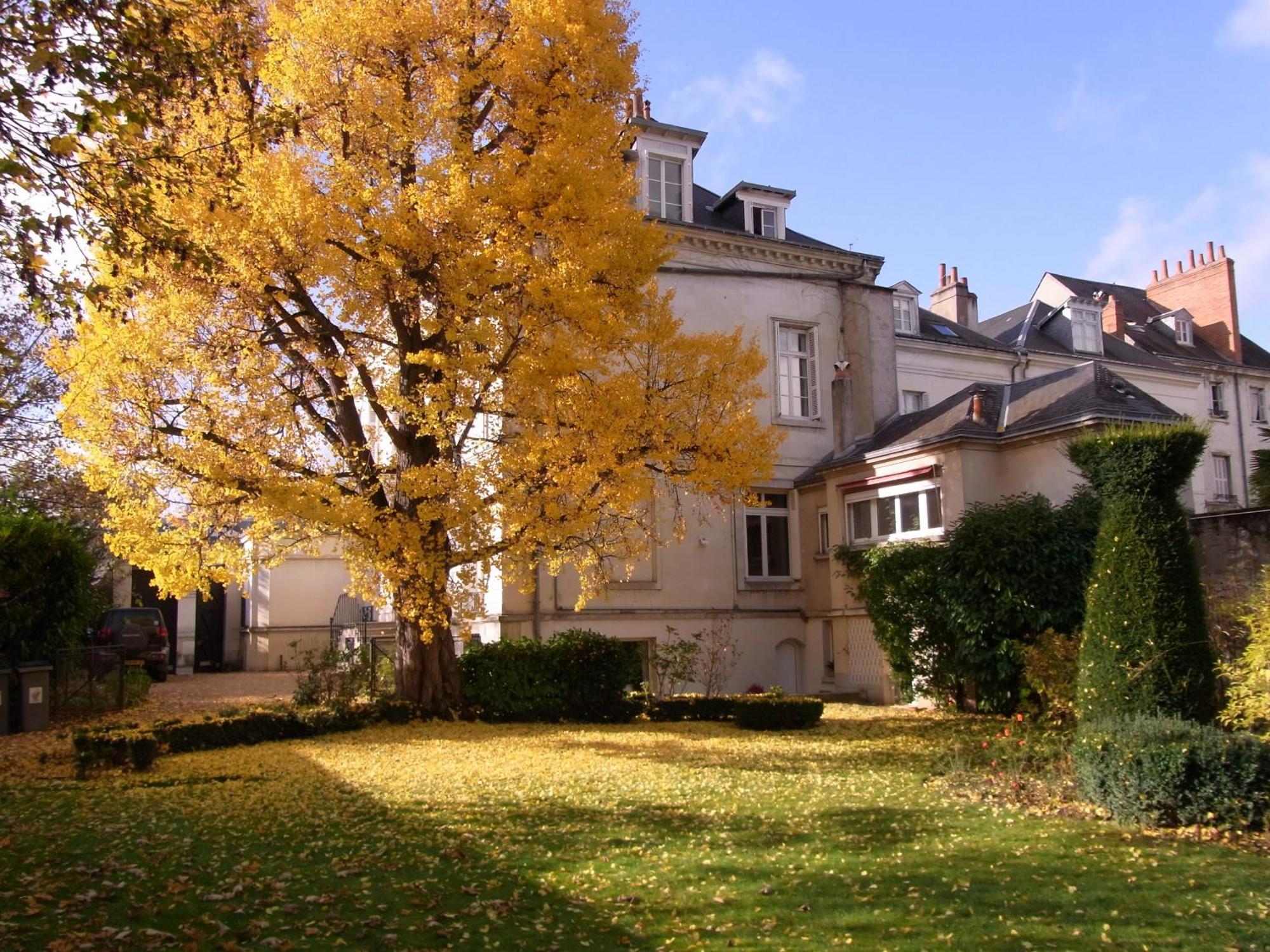 Apartmán A L'Abri Du Ginkgo Tours Exteriér fotografie